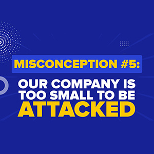 Misconception #5: “Darryl – Our company is too small, we are not worth attacking and we have nothing valuable anyone would want.”