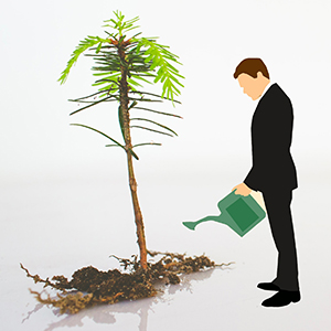 What Does It Mean to Build a Sustainable Business?