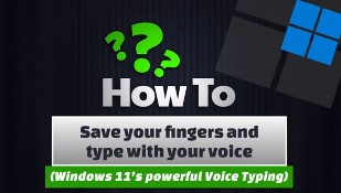 WINDOWS 11 - How To Save your fingers and type with your voice