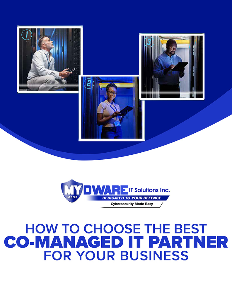 How To Choose The Best Co-Managed IT Partner For Your Business
